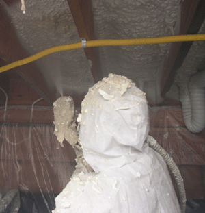 Fort Wayne IN crawl space insulation